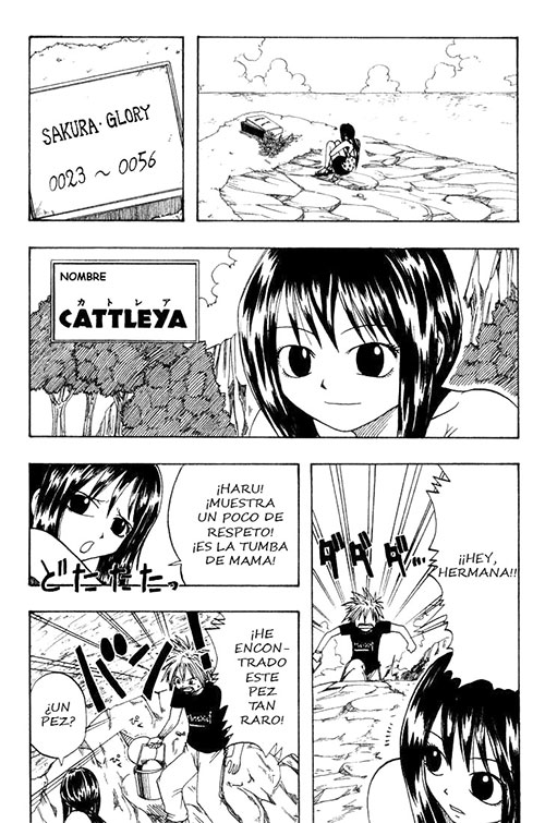 00215-Tucomicmanga-Descargar-Leer-más-sobre-Rave-Master-Volumen-Tomo-Capitulo-35