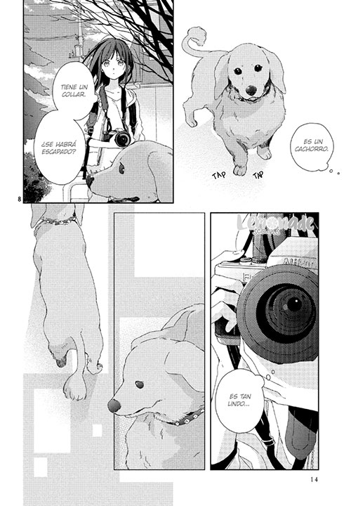 00042-Tucomicmanga-Descargar-Leer-más-sobre-Lens-Sou-No-Sankaku-Love-In-Focus-Volumen-Tomo-Capitulo-3